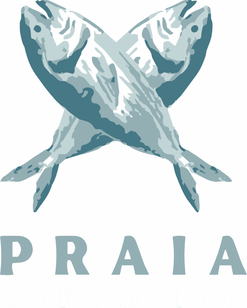 LOGO1_PRAIACARVOEIRO-logo