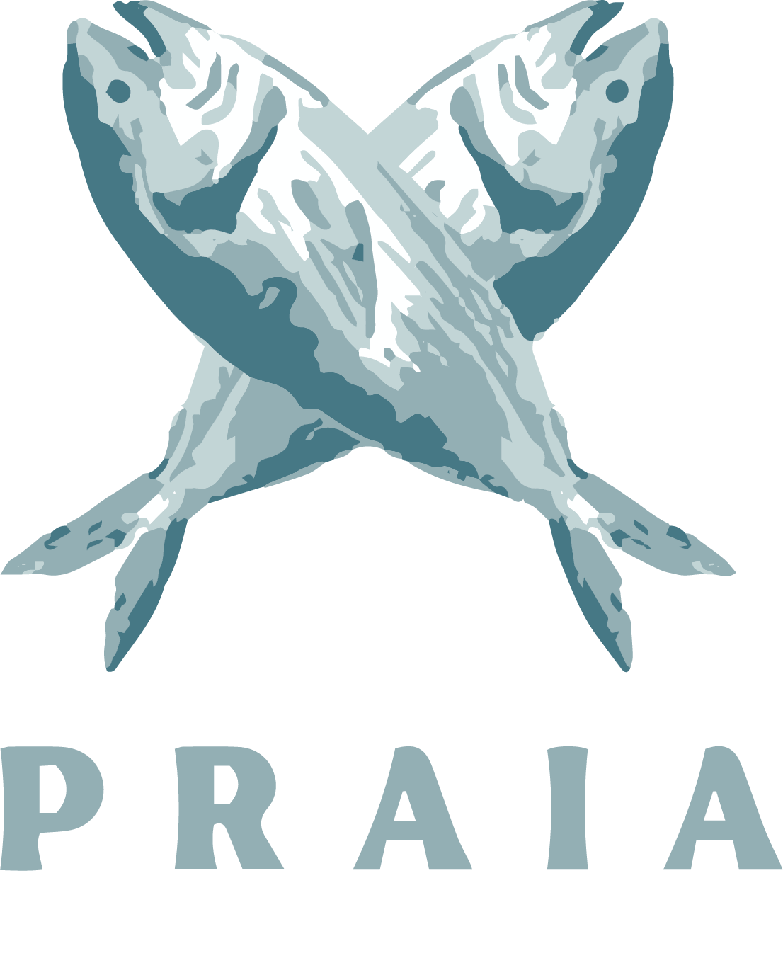 LOGO1_PRAIACARVOEIRO-logo